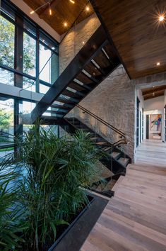 an indoor stair case with plants and lights on the ceiling, along with large windows