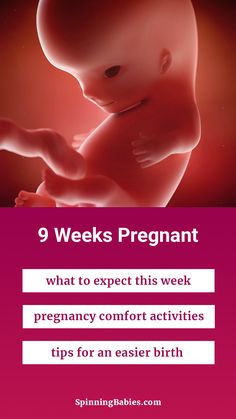 an image of a pregnant baby with the text 9 weeks pregnant what to expect this week