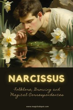 the cover of narcissus, featuring a young man leaning over water with white daffodils