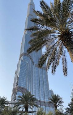 the tallest building in the world is surrounded by palm trees