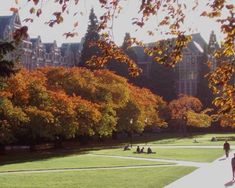 people are sitting on the grass in a park with trees and buildings in the background