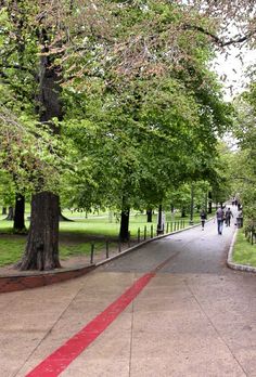 people are walking down the sidewalk near some trees and grass, with red lines painted on the ground