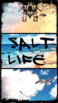 three different pictures with the words salt life written in black and white on them, along with an image of seagulls