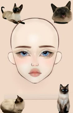 Cat Nose Contour, Face Chart Makeup Ideas, Makeup Ideas Drawing, Edgy Eye Makeup, Makeup Drawing, Doll Eye Makeup, Makeup Face Charts, Graphic Makeup, Makeup Help