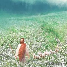 a painting of jesus walking through a field full of white flowers with sheep in the background