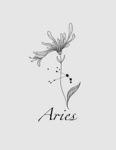 the word aris written in black ink on a gray background with a flower and leaves