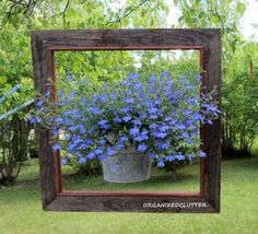 a potted plant with blue flowers sitting in front of a mirror on the grass