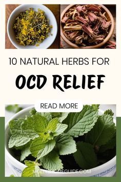 Explore the best natural herbs for OCD and discover how herbal supplements can provide natural support for OCD symptoms. Herbalism for OCD offers a holistic approach to managing obsessive compulsive disorder without harsh side effects. Try using herbs for anxiety and stress relief to promote overall well-being. Incorporate herbal remedies into your routine as natural remedies for OCD, aiding in reducing symptoms and promoting relaxation. Discover the benefits of supplements for OCD and enhance y Ocd Symptoms, Natural Girl, Holistic Care, Healing Plants, Holistic Remedies, Natural Therapy, Ginkgo Biloba, Natural Health Remedies