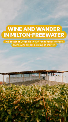 an advertisement for a wine and wander in million - freewater