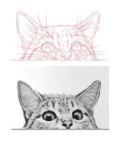 a drawing of a cat's face and another image of a cat's head