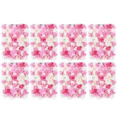 six pink and white flowers arranged in rows on a white background, each with different petals