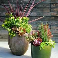 two large planters sitting on top of a cement floor next to each other with succulents in them