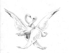 a drawing of a swan with its wings spread