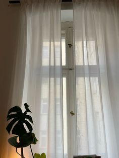 a window with white sheer curtains and a potted plant next to it