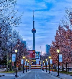 an empty walkway in front of the cn tower