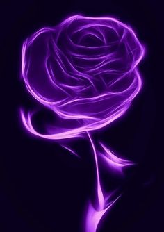 a purple rose on a black background is shown in the image, it appears to be glowing