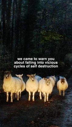 a herd of sheep standing on top of a dirt road in the woods with a quote above it