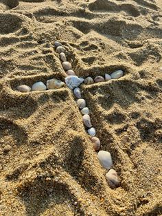 a starfish made out of shells on the beach