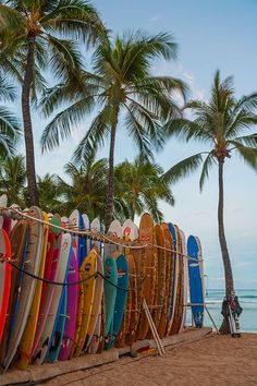 many surfboards are lined up on the beach