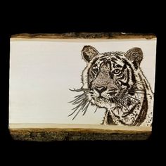 a drawing of a tiger on a piece of wood with grass in it's mouth