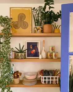 shelves with plants and pictures on them in front of a blue door that is open