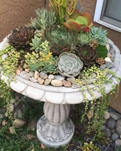 succulents and other plants are arranged in an outdoor planter