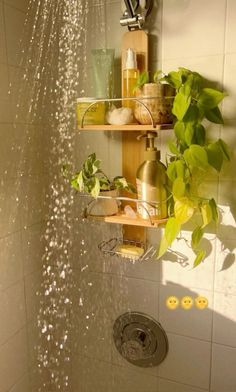 a shower head with plants growing out of it