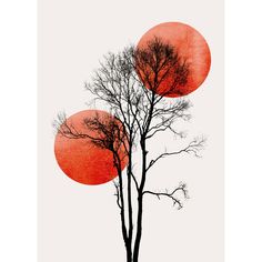 three trees with red circles in the background