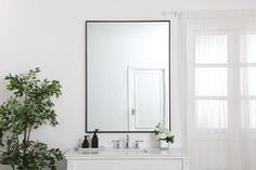 a mirror sitting on top of a white dresser next to a potted palm tree