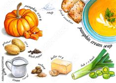 an illustration of pumpkin soup and its ingredients