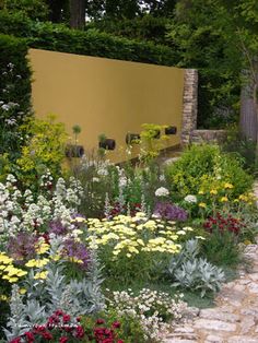 a garden filled with lots of different types of flowers and plants next to a wall