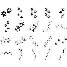 an image of dog tracks and paw prints