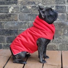 a small black dog wearing a red coat on top of a wooden floor next to a brick wall