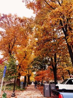 the trees are changing colors in the fall season, with leaves on the ground and people walking down the sidewalk