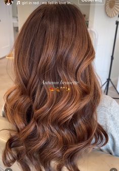 Auburn Hair Color With Highlights Copper, Brown Wedding Hair, Autumn Brunette, Hair Palette, Highlights Brown Hair Balayage, Light Auburn Hair, Wedding Hair Colors, Brown Hair Looks