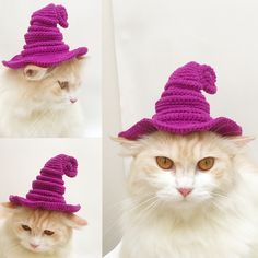 four pictures of a cat wearing a purple knitted wizard's hat and looking at the camera