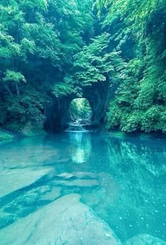 the water is very blue and green in this area with trees on either side of it