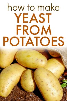 potatoes with the title how to make yeast from potatoes