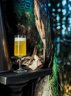 a glass of beer sitting on top of a table