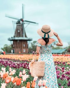 a woman in a dress and straw hat walks through a field with tulips