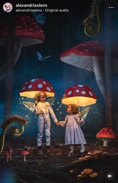 Photographer Backdrop, Walk Idea, Forest Fairies, Practical Effects, Glowing Mushrooms, Diy Costumes Kids, Mushroom Forest, Girl Birthday Themes