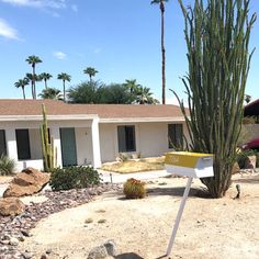 a house with a cactus in front of it and a yellow mailbox on the ground