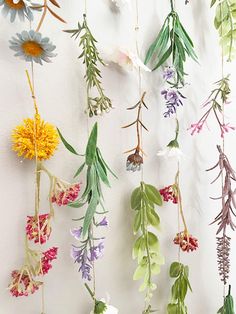 flowers and leaves hanging from strings on a wall