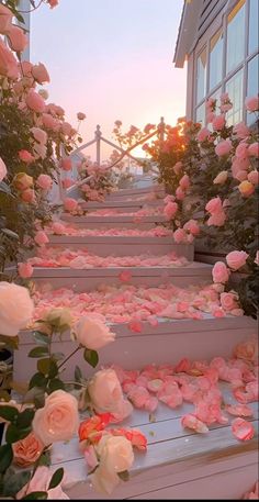 pink roses are on the steps leading up to a building