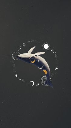 two dolphins floating in the air with moon and stars