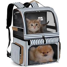 two small dogs and a cat in a blue and white striped pet carrier with black straps