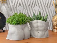 two white vases with plants in them on a table