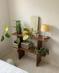 a shelf with plants on it in a bedroom