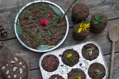 there are many plants in the trays on the wooden table next to each other