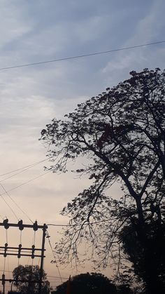 an electric pole and power lines with trees in the background